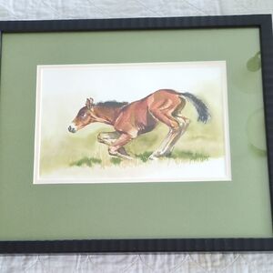 Framed Horse Art Print in Black and Green